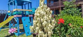 IMG_20240602_132610