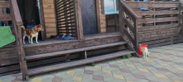 IMG_20240713_100758